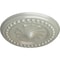 Ekena Millwork Foster Shell Ceiling Medallion (Fits Canopies up to 9 5/8"), 15 3/4"OD x 2"P, Flash Copper CM15FOFCS - alternate 3